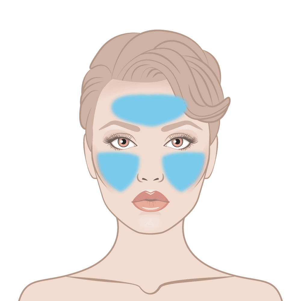 Skin Active Day & Night Skin Area Diagram